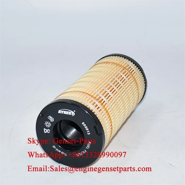 605013 OEM 605013 OEM